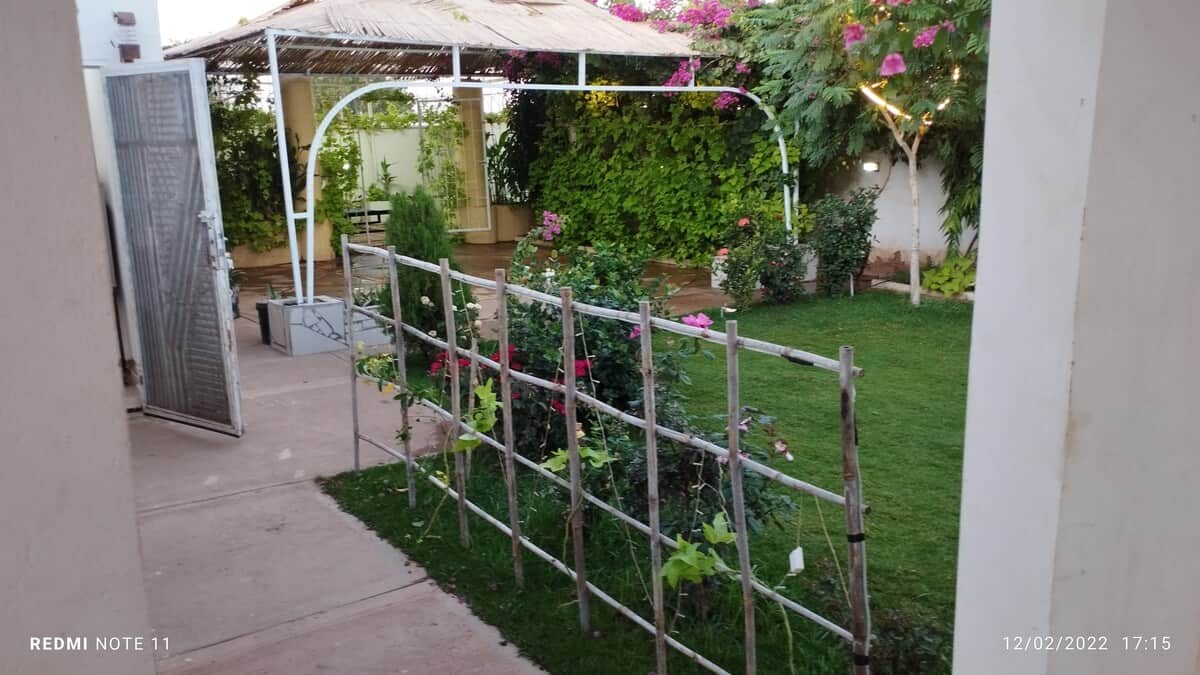 صورة العقار 4
