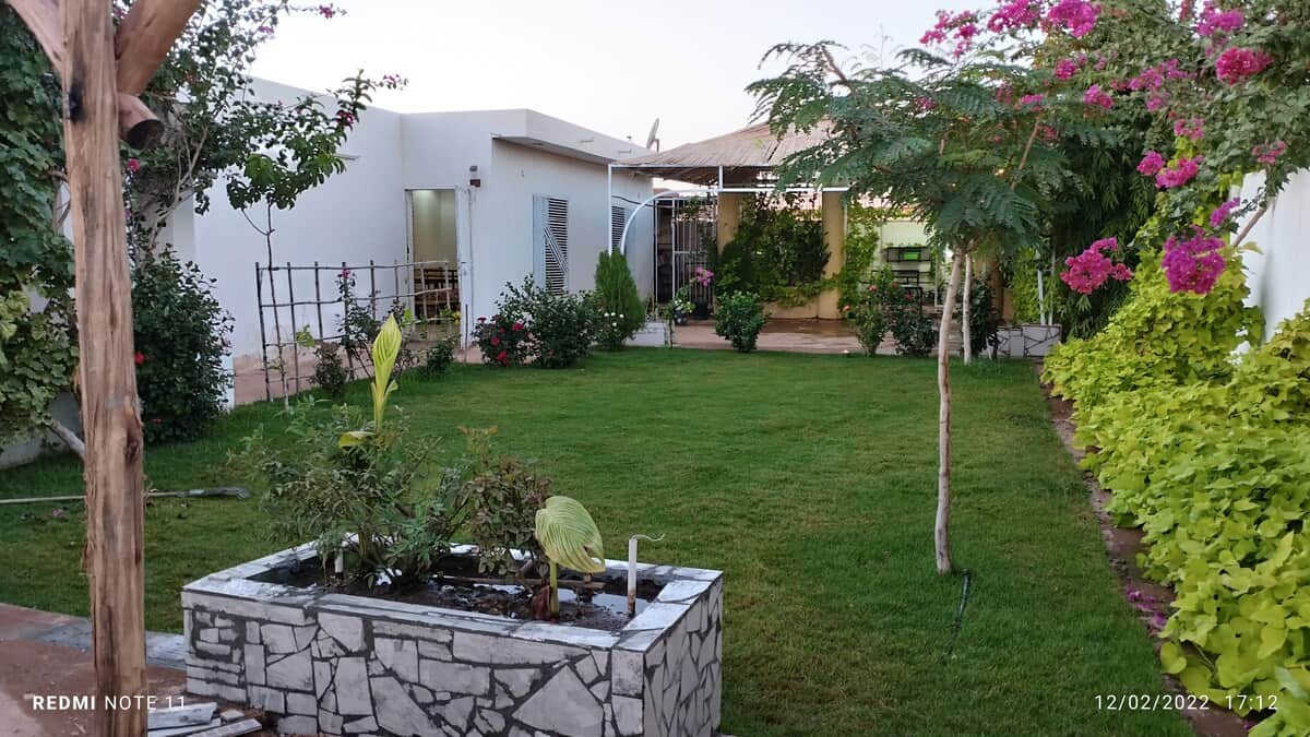 صورة العقار 3