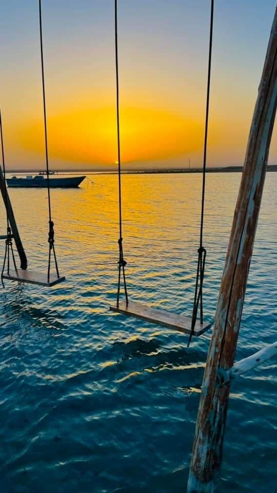 صورة العقار 14