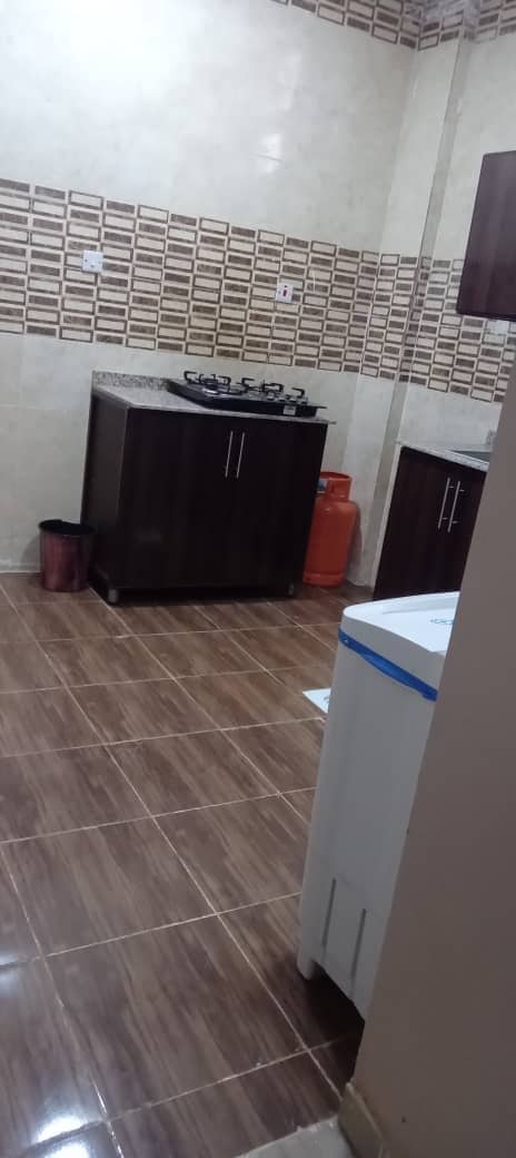 صورة العقار 9