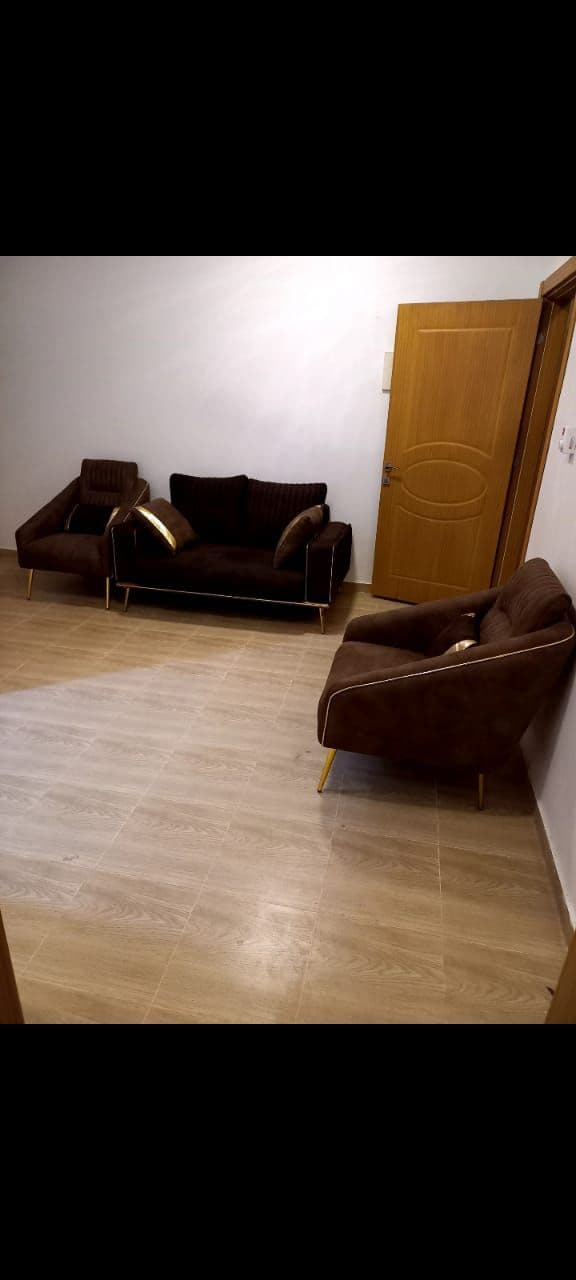 صورة العقار 4